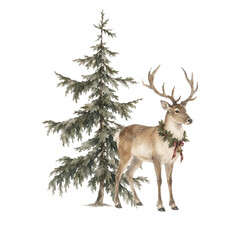 Fototapeta premium Christmas reindeer fir tree watercolor illustration with festive deer wearing holly, red ribbon and golden bell beside a natural evergreen tree, isolated PNG