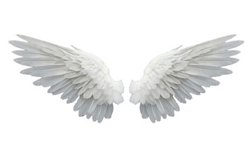 Obraz premium Wide pair of luminous white feathered wings