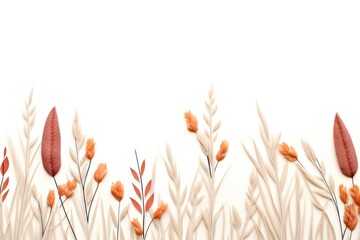 Obraz premium Pampas floral border flower backgrounds plant.