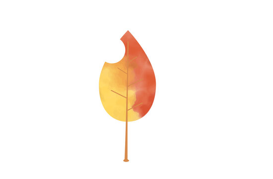 Single orange and red watercolor chewed fallen leaf autumn illustration