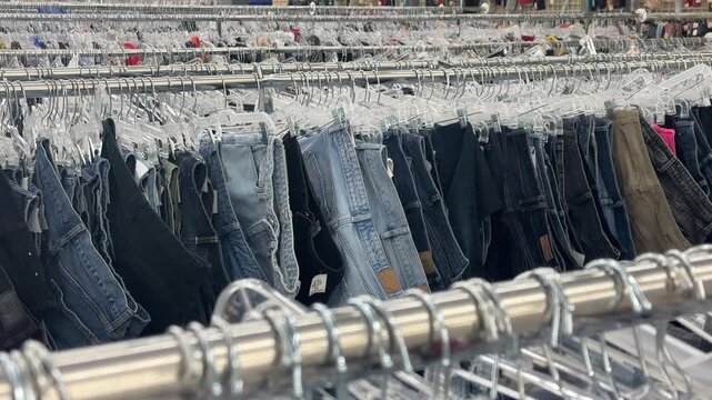 Used jeans in Thrift store displayed in rows