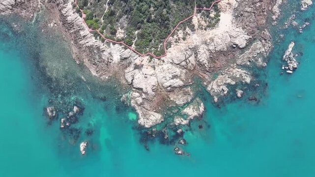 Aerial View of Rocky Coastline with Turquoise Sea and Pine Forest