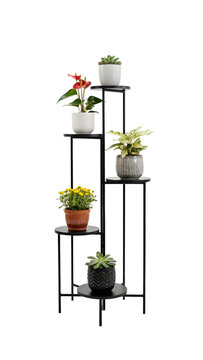 Black metal plant stand with tiered shelves. Featuring various indoor potted plants in modern ceramic pots. Isolated on a white background