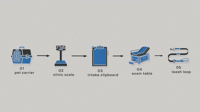 Veterinary front-desk intake moves a pet from carrier arrival through weigh-in and documentation to examination handoff. Flat 3D style with a printed line screen; objects numbered and labelled in