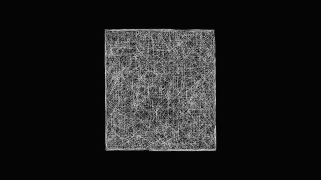 Sketch Delaware outline map animation - smooth progressive reveal