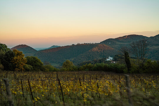 Euganean hills vineyard showing autumn sunset landscape