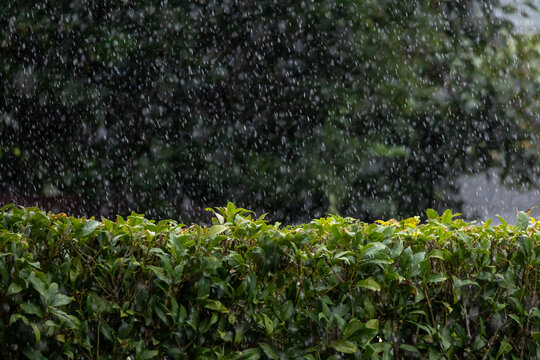 土砂降りの雨
