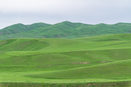 Green rolling hills and grassland landscape under cloudy sky in Kyrgyzstan. Copy space.Natural background with green hills.