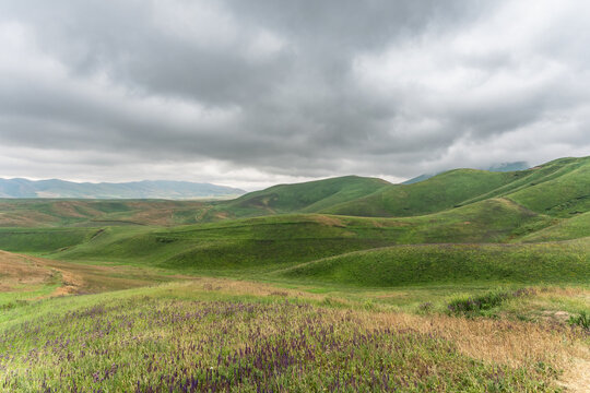 Green, blooming meadows on the hills beneath storm clouds. Natural mountain landscape in Kyrgyzstan.