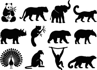 Obraz premium Asian Zoo Wildlife Silhouette Set Vector - Panda Tiger Elephant Snow Leopard Rhino Red Panda Peacock Gibbon Bear Tapir Icons