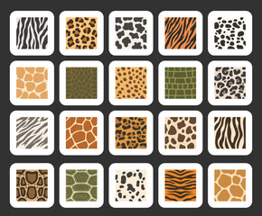 Fototapeta premium Animal print set featuring zebra leopard cow tiger dalmatian giraffe viper cheetah crocodile jaguar python turtle stripes spots ornament texture