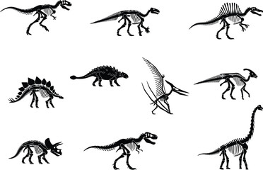 Collection of dinosaur skeletons in black silhouette against a white background fossils paleontology prehistoric extinct © Aoitijjo