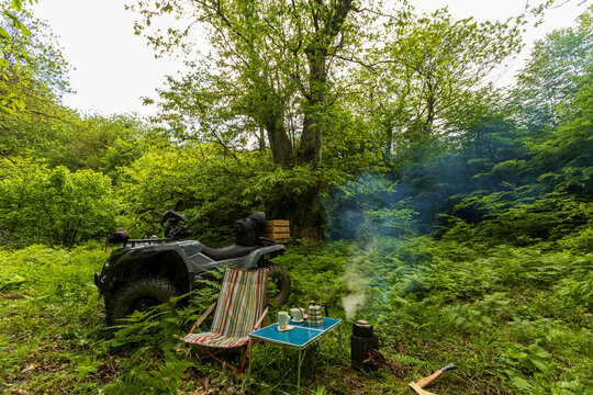 ATV vehicle and bushcraft camping setup with table, chair, and small stove in a dense green forest with large chestnut trees.