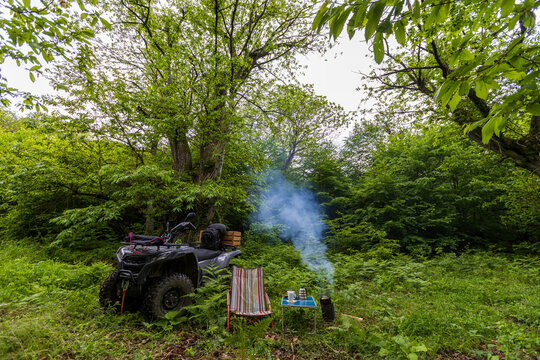 ATV vehicle and bushcraft camping setup with table, chair, and small stove in a dense green forest with large chestnut trees.