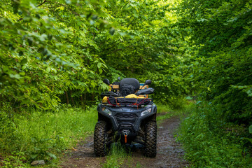 ATV vehicle and bushcraft camping setup with table, chair, and small stove in a dense green forest with large chestnut trees. © Caner