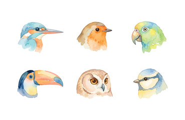 Fototapeta premium Watercolor Bird Head Icon Set Isolated on White Background