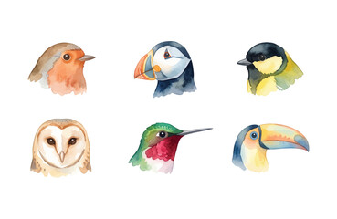 Fototapeta premium Watercolor Bird Heads Icon Set Featuring Robin, Puffin, Tit, Barn Owl, Hummingbird, and Toucan on White Background