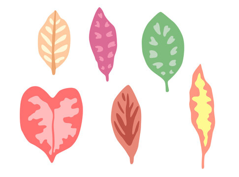 Vector illustration set of colorful leaves. Hand drawn botanical elements isolated on white background, for summer designs.