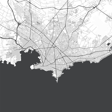 Minimal vector city map of Montevideo with streets, districts and road network