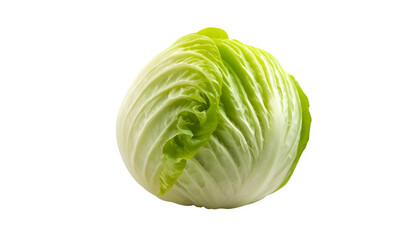 Fototapeta premium cabbage isolated on white