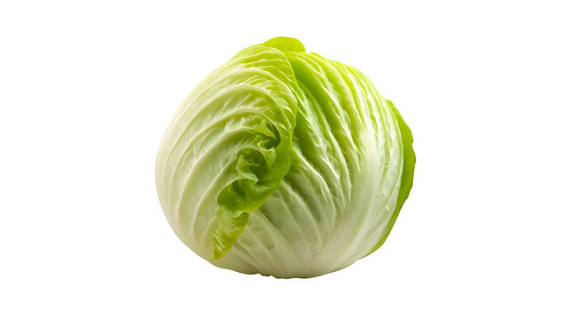 cabbage isolated on white