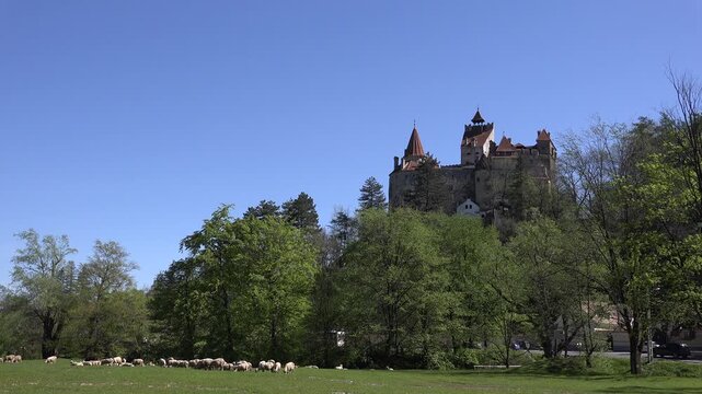 Dracula Castle Ancient Monument in Romania, Vlad Impaler Landmark