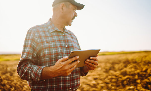 Farmer in plaid shirt stands in field with digital tablet at sunset. Man is working and checking soil while holding the tablet. Concepts: ecology, smart farming, gardening.