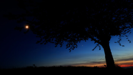 Moon, planet conjunction and landscape scenery silhouettes. © astrosystem