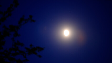 Moon on a night sky with nature silhouettes. © astrosystem