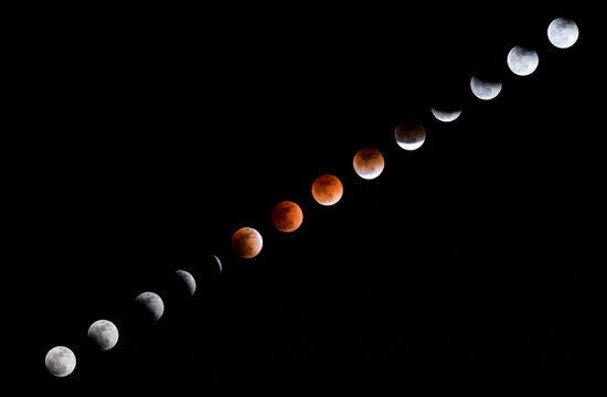 A time-lapse sequence showing all phases of a total lunar eclipse, including the red blood moon phase against the dark night sky.