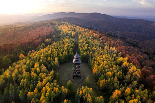 Aerial view of a observation tower surrounded by vibrant autumn forest with golden and orange foliage under warm sunset light in the Carpathian mountains in Nedil'na, Lviv Oblast, Ukraine.