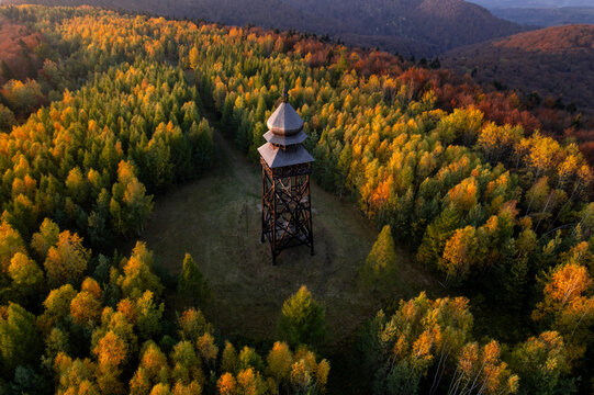 Aerial view of the wooden observation and bell tower surrounded by a dense autumn forest with vibrant golden and orange foliage in Nedil'na, Lviv Oblast, Ukraine.