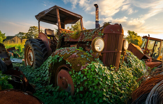 Rusty old tractor slowly being taken over by nature in a farmers field.