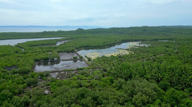 Wide aerial landscape of Calauag, Camarines Sur featuring rural farms and agricultural land extending toward the water around Lagay, captured on a cloudy day in the tropical Bicol countryside.