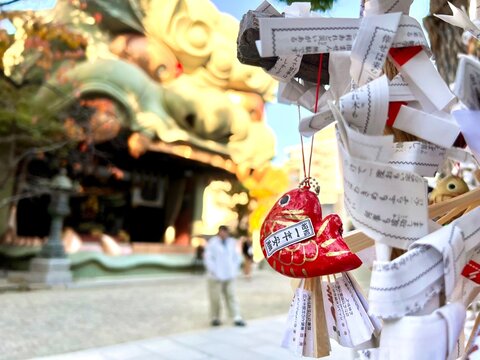 Osaka city, Japan-December 09 2024 : Image of Omikuji, which people use to make a prediction. If the prediction is bad, it is left at the shrine to ward off bad luck. Can be found at shrines in Japan