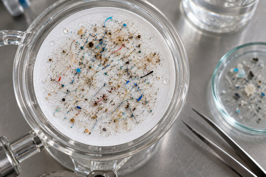 Microplastic particles captured on membrane filter from water sample