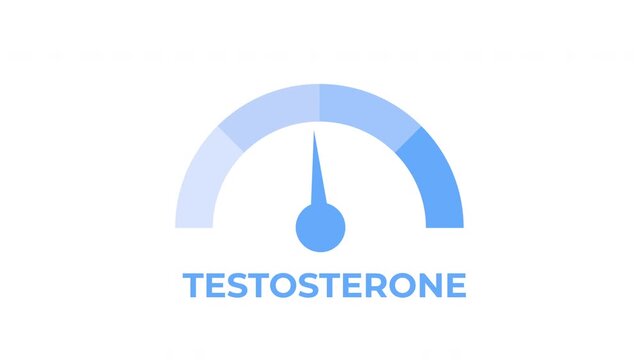 Testosterone level meter animation with rising and falling hormone levels, testosterone hormone, hormonal balance, men's health and medical concept