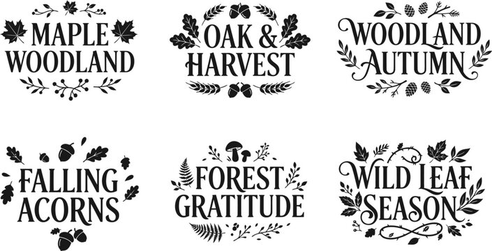 Set of six decorative autumn woodland typography labels for seasonal design projects for thanksgiving day illustration