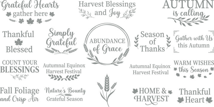 Collection of hand drawn autumn and thanksgiving themed typography phrases and decorative elements for seasonal greeting card design