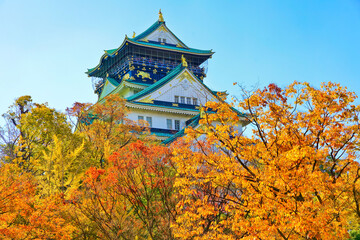 Fototapeta premium View of the Osaka Castle in autumn in Osaka, Japan.