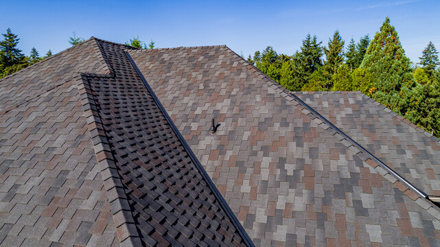 Aerial view of a residential roof with textured asphalt shingles surrounded by lush evergreen trees under a clear blue sky in Lake Oswego, Oregon, United States.
