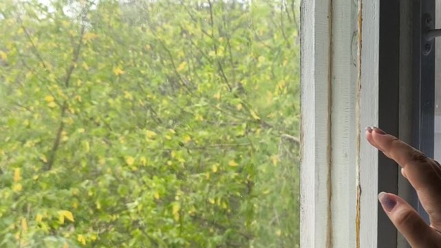 Woman touching a window glass while yellowing trees sway in the wind outside under an overcast sky, representing the arrival of autumn, colder weather, cooling temperatures and seasonal change.
