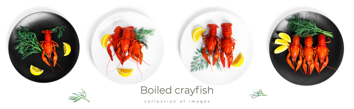 Boiled crayfish with dill and lemon on black plate isolated on a white background.