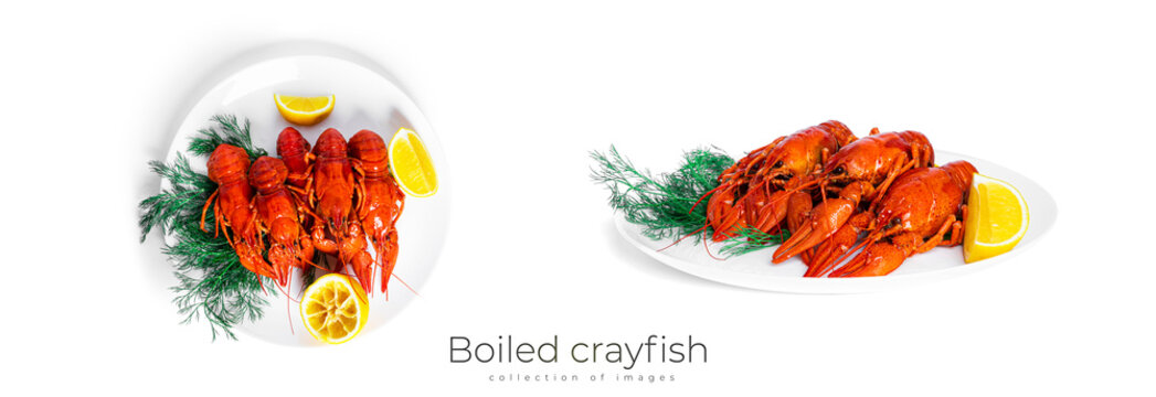 Boiled crayfish with dill and lemon isolated on a white background.