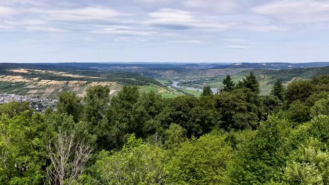 Spektakul&auml;re Luftaufnahme der Moselschleife bei P&ouml;lich und Mehring. Gr&uuml;ne Weinberge s&auml;umen das tiefblaue Flussufer unter leicht bew&ouml;lktem Sommerhimmel in der Urlaubsregion Mosel.