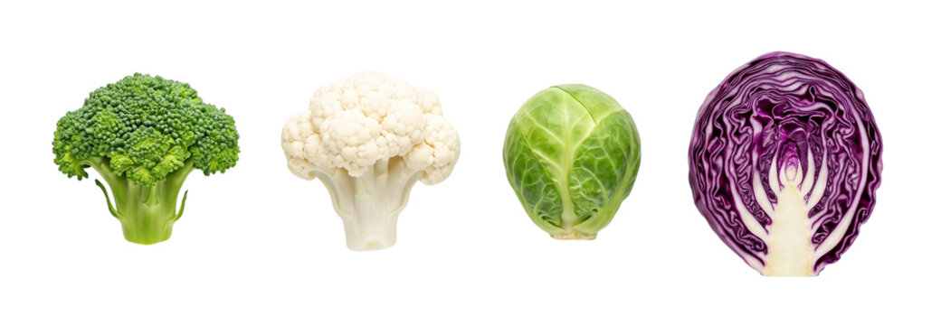 Fresh and healthy cruciferous vegetables including broccoli cauliflower Brussels sprout and red cabbage.