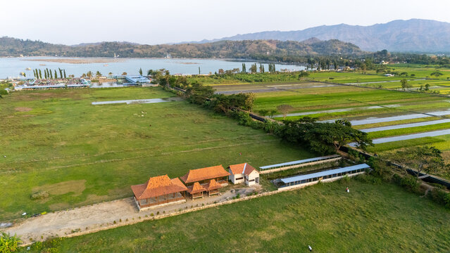 Aerial view of traditional Javanese pavilions surrounded by lush green rice fields and a serene lake under a clear sky in Klaten, Central Java, Indonesia.