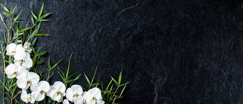 white orchid flowers and bamboo leaves frame on dark slate background top view flat lay spa banner concept with empty copy space for design wellness relaxation zen luxury backdrop