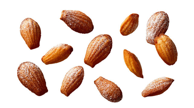 Golden French Madeleine Cakes Isolated