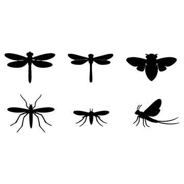 Flying Insect Silhouette Icons Collection